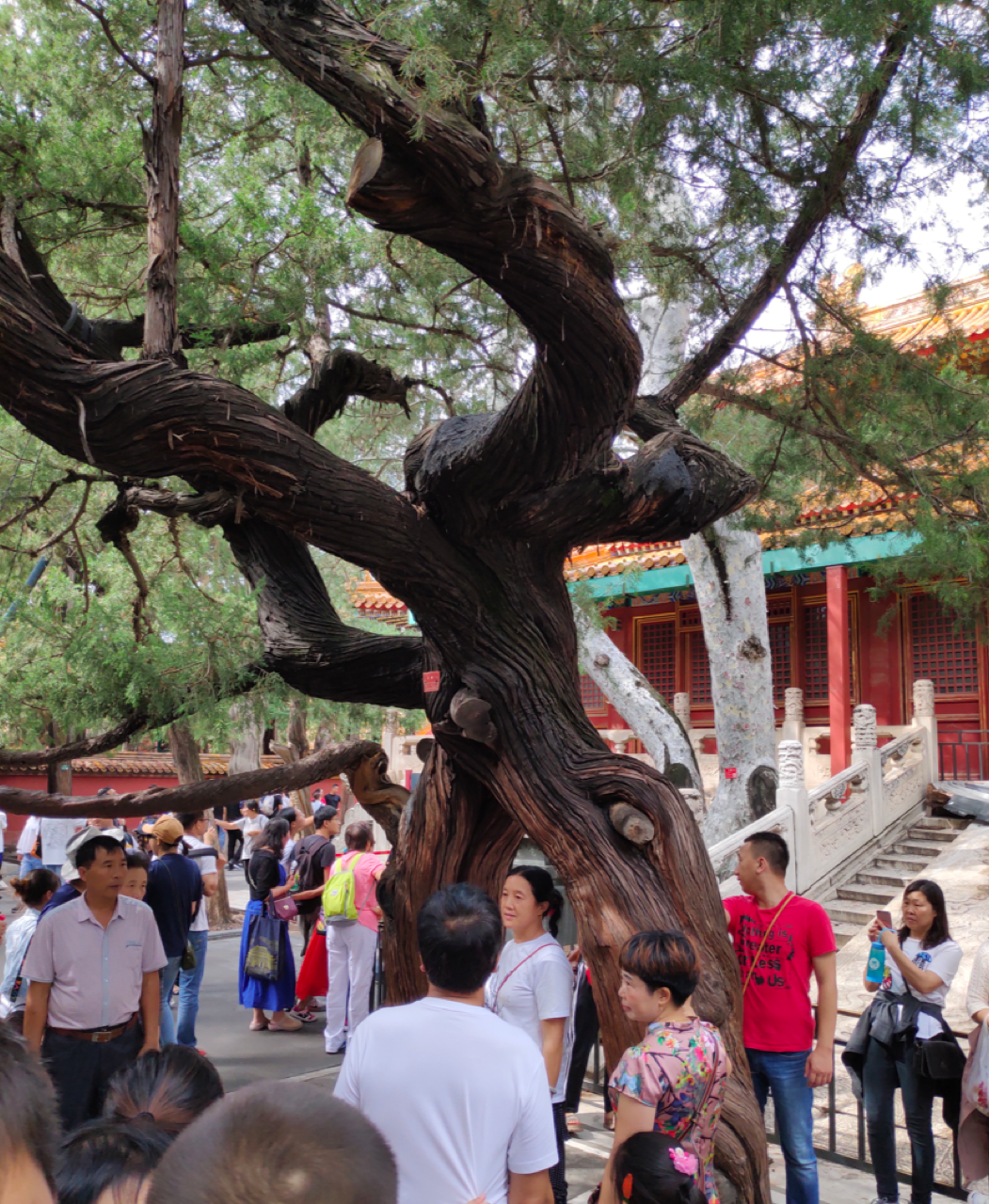 image-20191007174440252