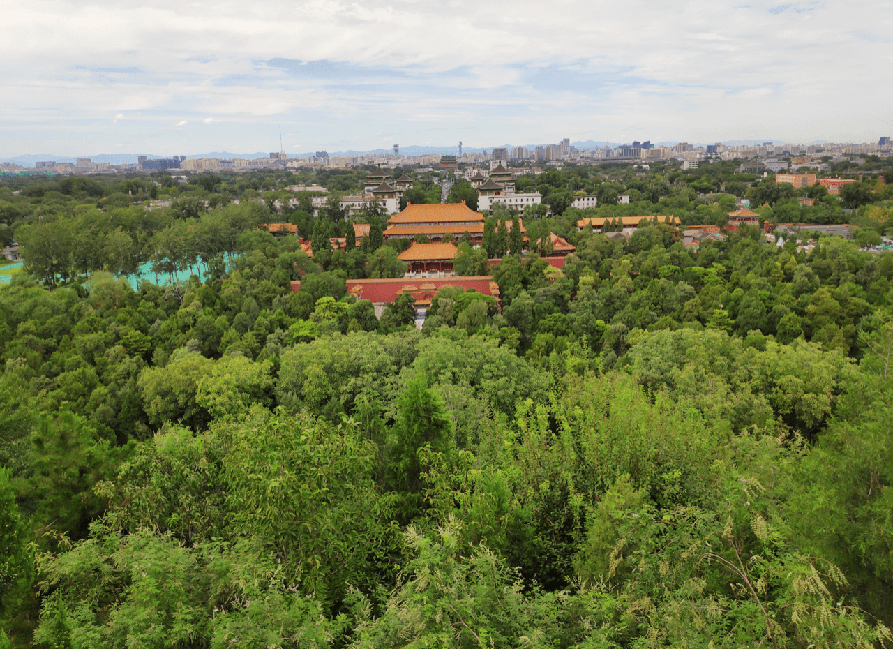 image-20191007175201379