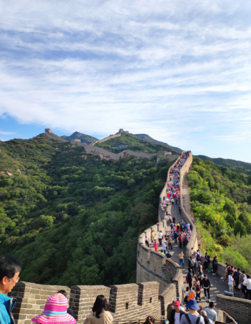 image-20191008102059020