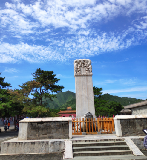 image-20191008103419598