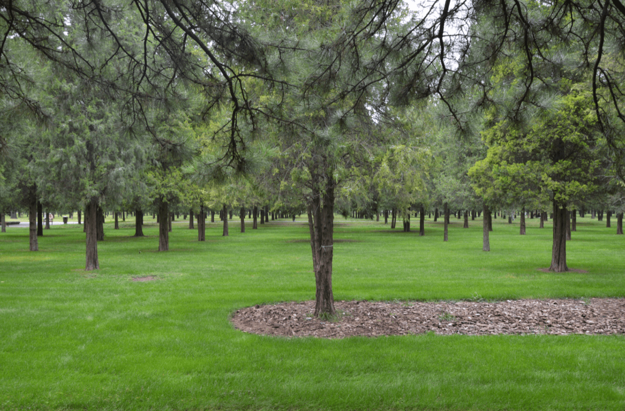 image-20191008155421636